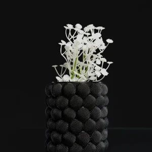 siyah vazo