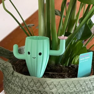 kaktüslü, kaktüs-tasarım, minimal-ürünler, pratik-ürünler,