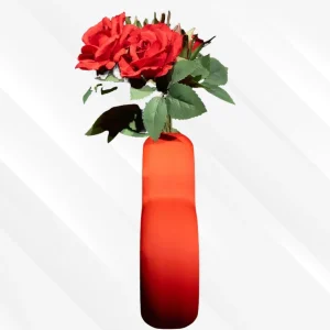 vazo, saksı, dekoratif-vazo, geometrik-vazo, kücük-vazo, plastik-saksı, büyük-vazo, salon-için-vazo, delikli-saksı, deliksiz-vazo, kırmızı-vazo, kalp-vazo, kırmızı-kalp-vazo